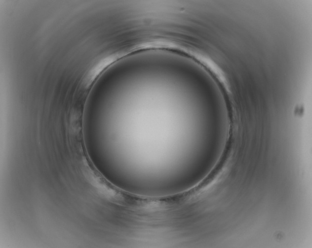 X0000091910945200709051415