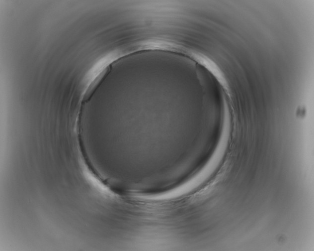 X0000091910946200709051415