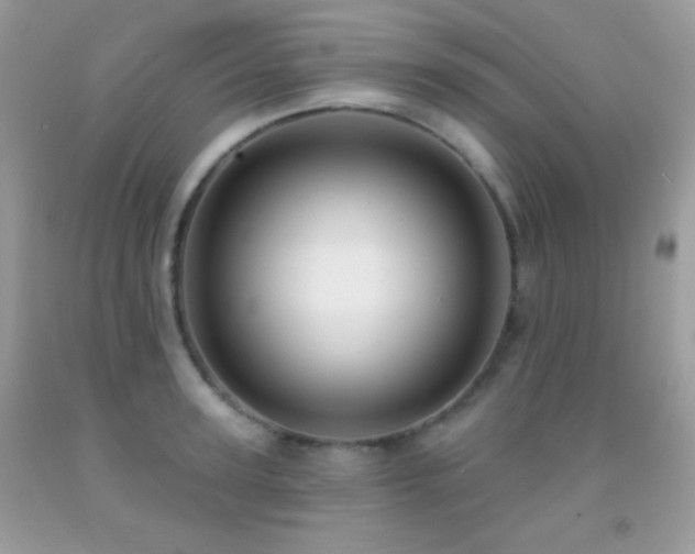 X0000091910947200709051415