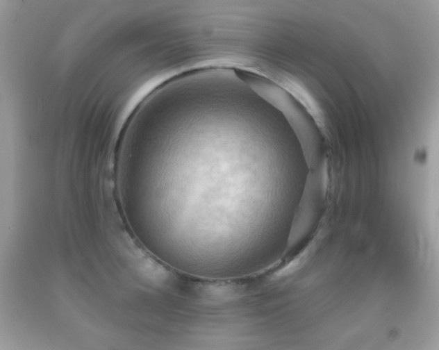 X0000091910948200709051415