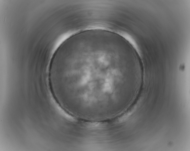 X0000091910949200709051415