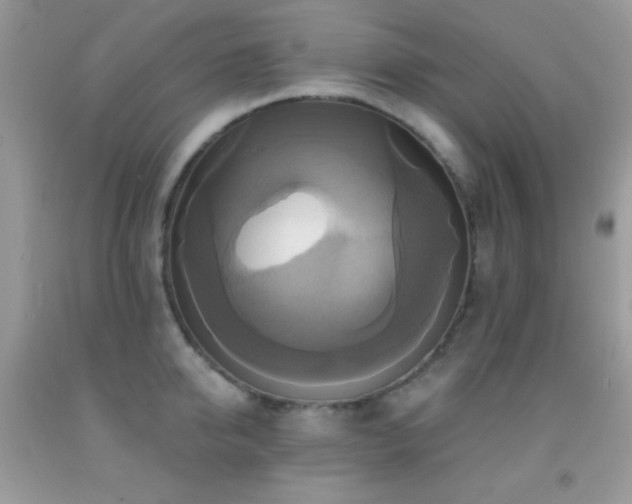 X0000091910950200709051415
