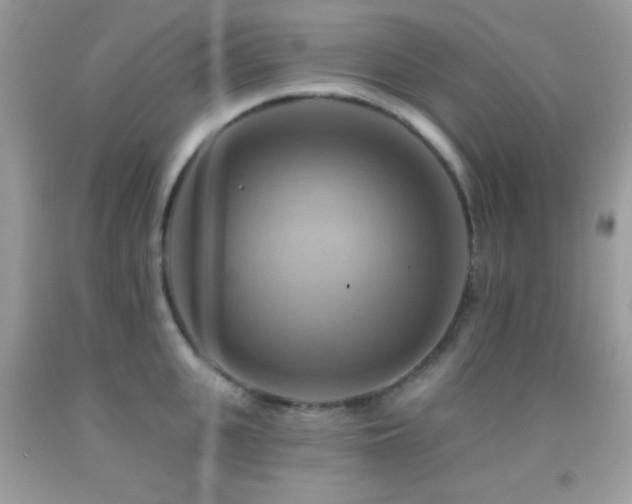 X0000091910951200709051416