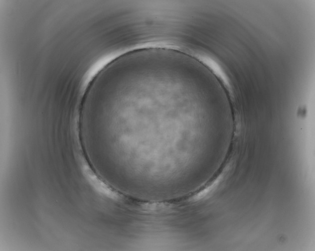 X0000091910952200709051416
