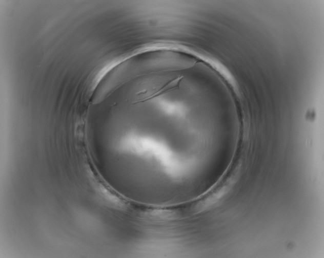 X0000091910953200709051416
