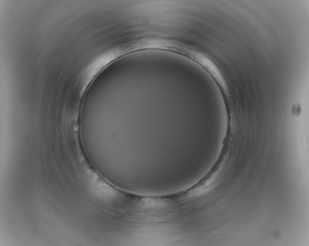 X0000091910954200709051416