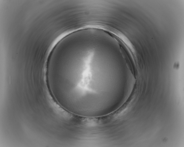 X0000091910955200709051416