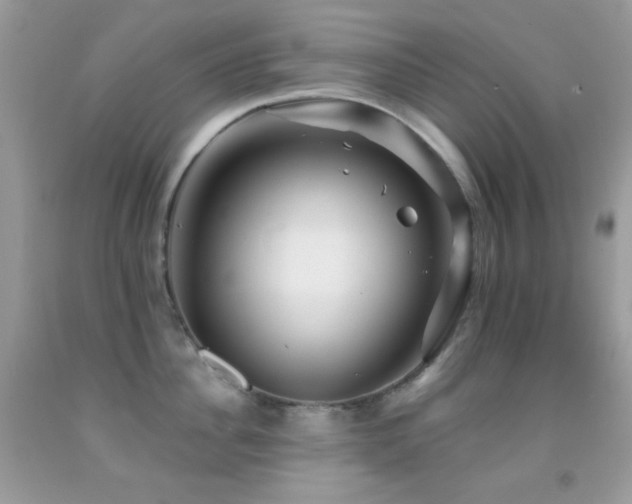 X0000091910956200709051416