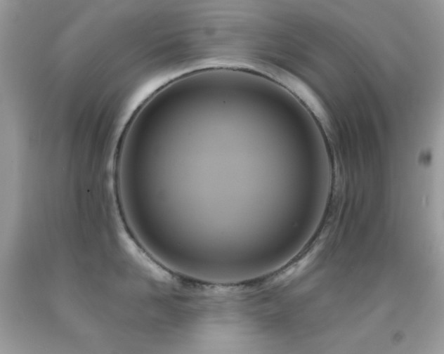 X0000091910958200709051416