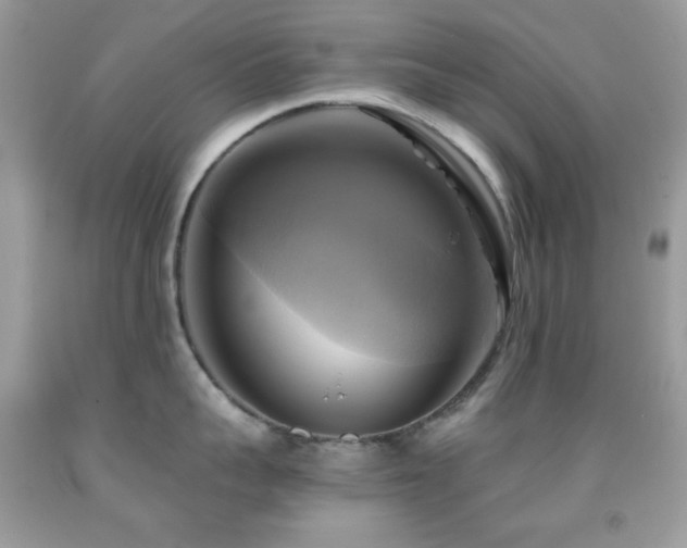 X0000091910959200709051416