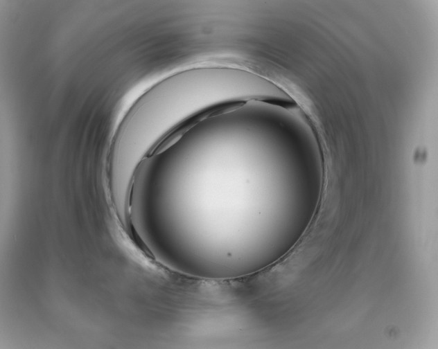 X0000091910960200709051416