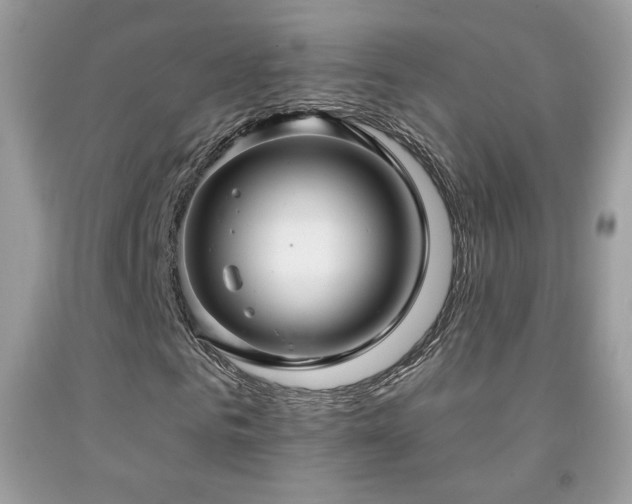 X0000091910961200709051415