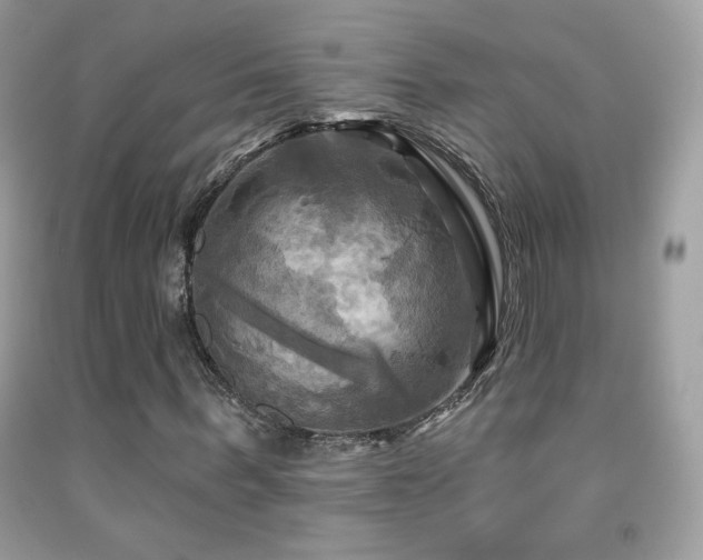 X0000091910963200709051415