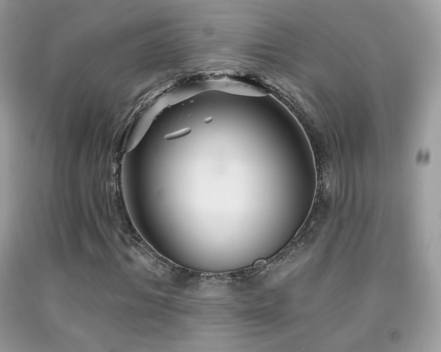 X0000091910964200709051415