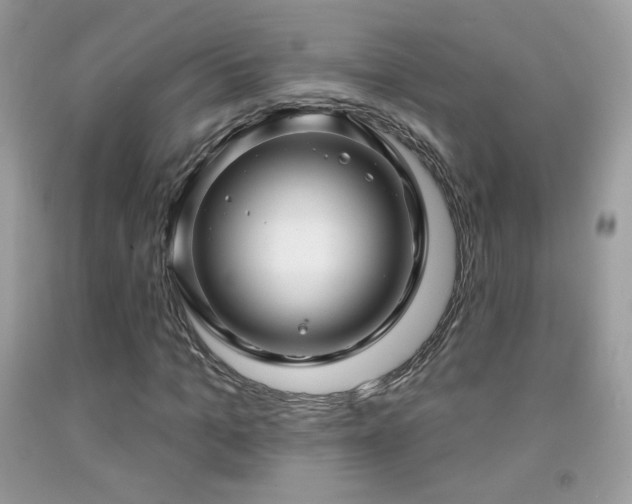 X0000091910965200709051415