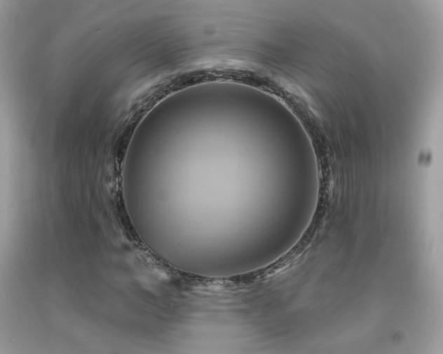 X0000091910966200709051415