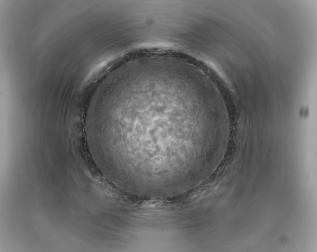 X0000091910967200709051415