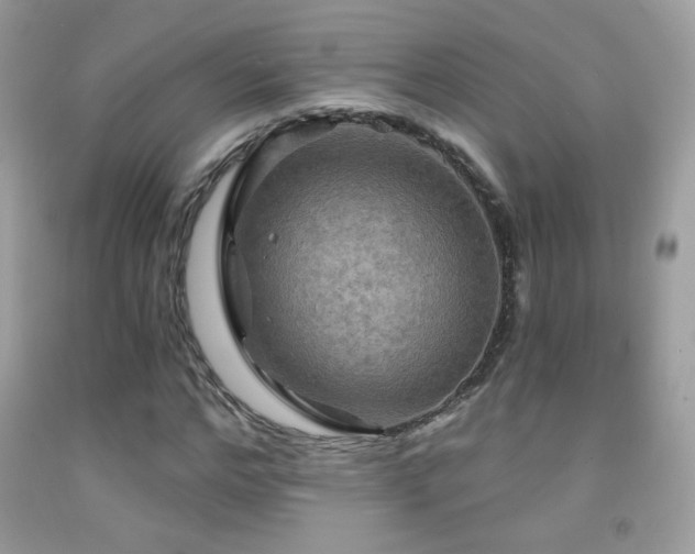 X0000091910968200709051415