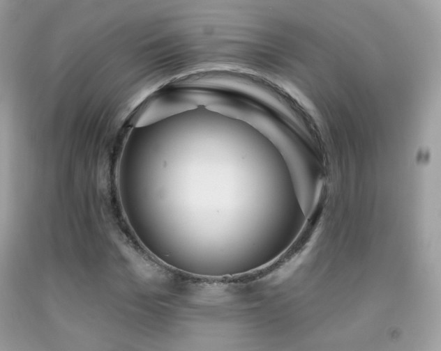 X0000091910969200709051415
