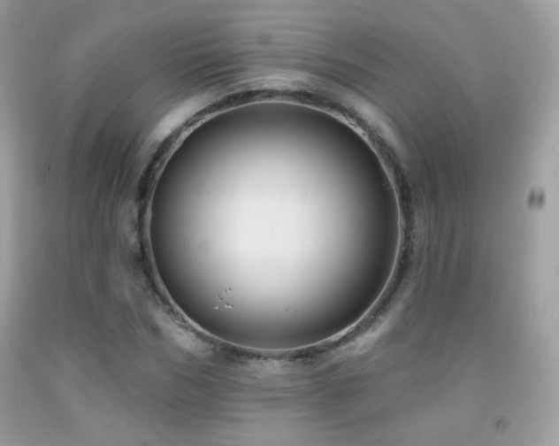 X0000091910970200709051415