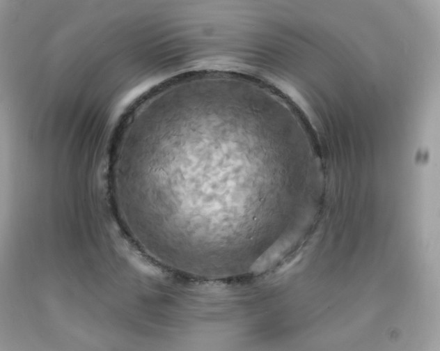 X0000091910971200709051415