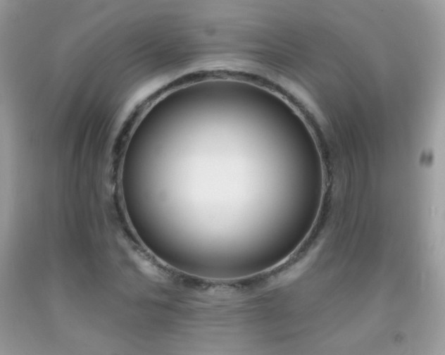 X0000091910974200709051415