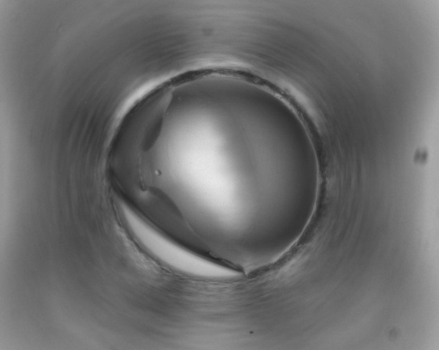 X0000091910975200709051415