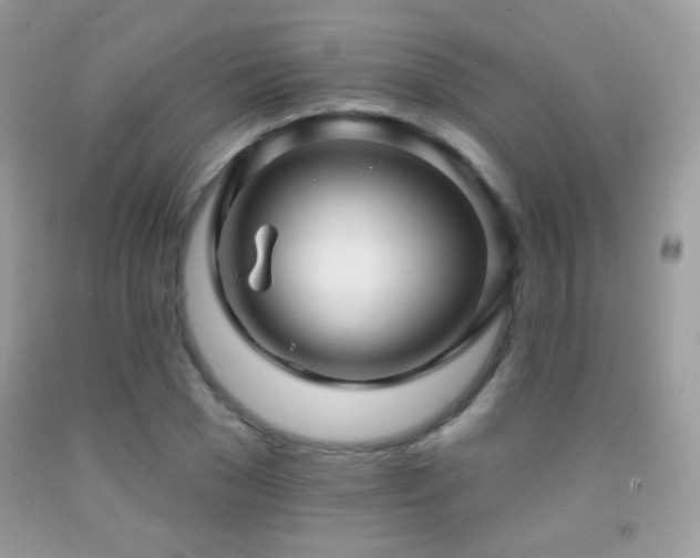 X0000091910977200709051415