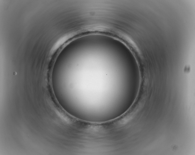 X0000091910978200709051415