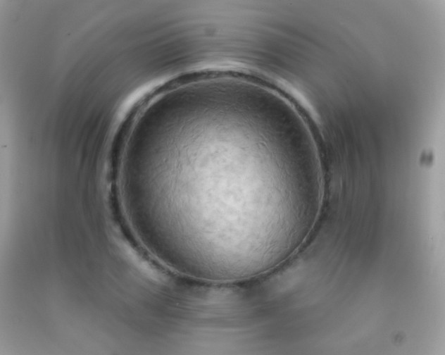 X0000091910979200709051415