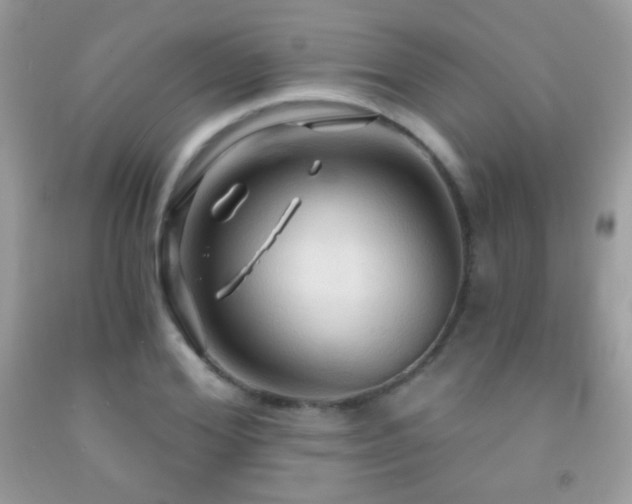 X0000091910980200709051415
