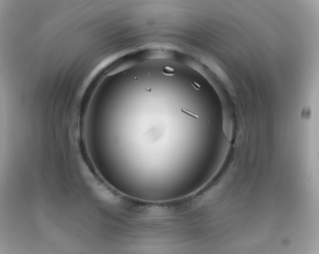 X0000091910984200709051415