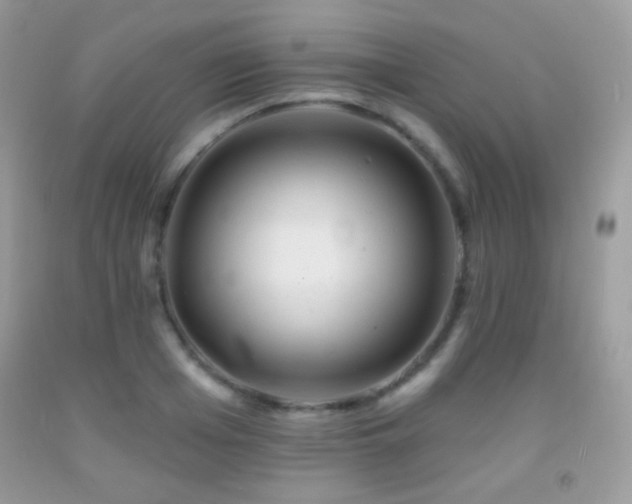 X0000091910985200709051415
