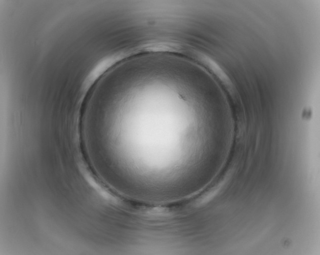 X0000091910986200709051415