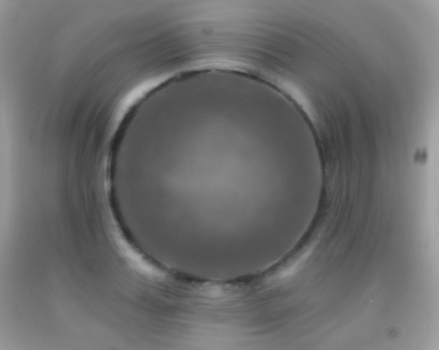 X0000091910987200709051415