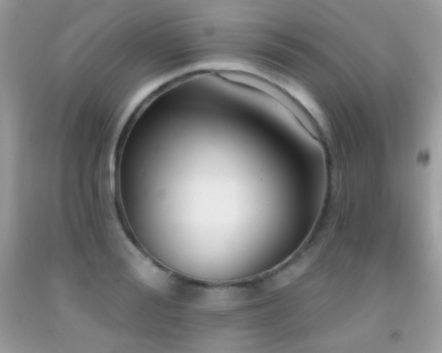 X0000091910988200709051415