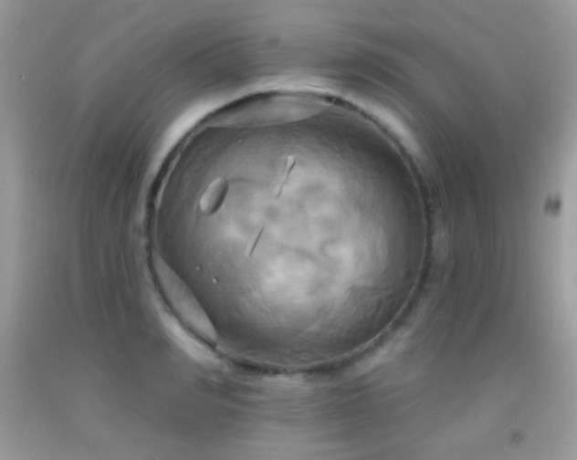 X0000091910990200709051414