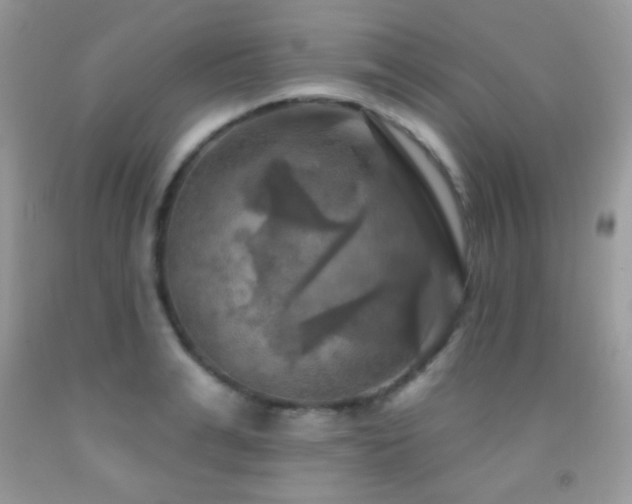 X0000091910991200709051414
