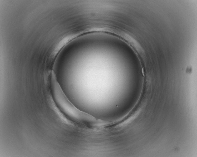 X0000091910993200709051414