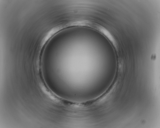 X0000091910994200709051414