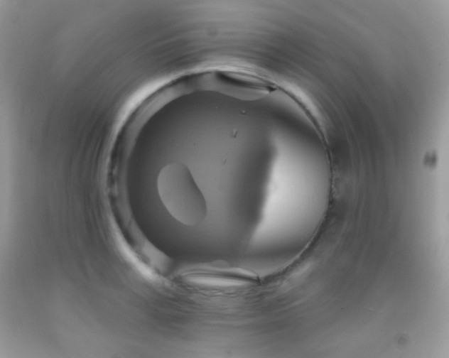 X0000091910995200709051414