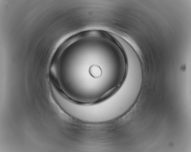 X0000091910996200709051414