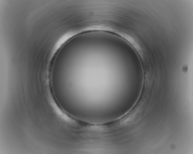 X0000091910998200709051414