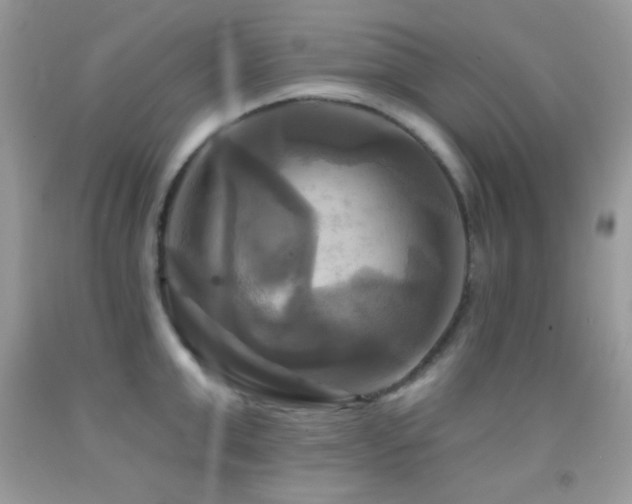 X0000091910999200709051414
