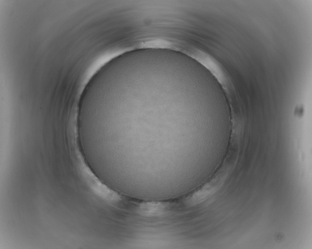 X0000091911000200709051414