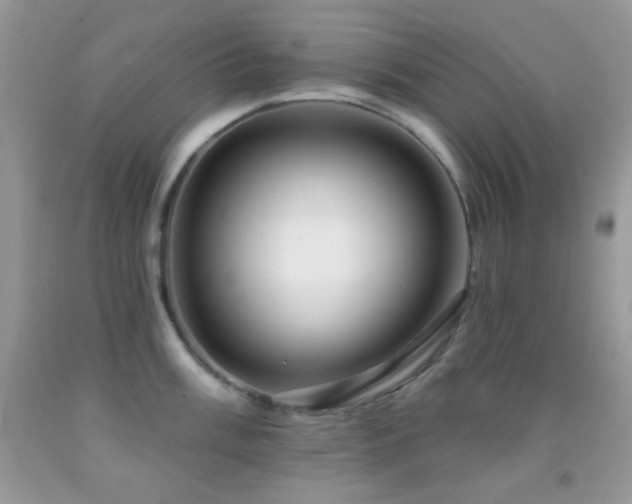 X0000091911003200709051414