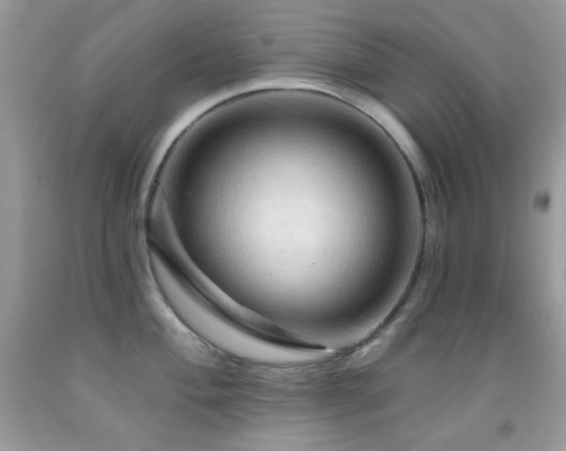 X0000091911004200709051414