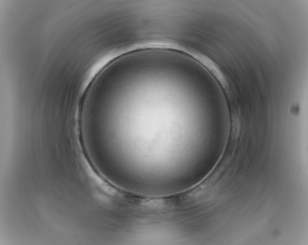 X0000091911006200709051414