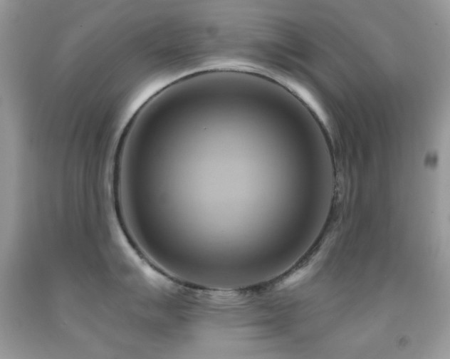 X0000091911007200709051414