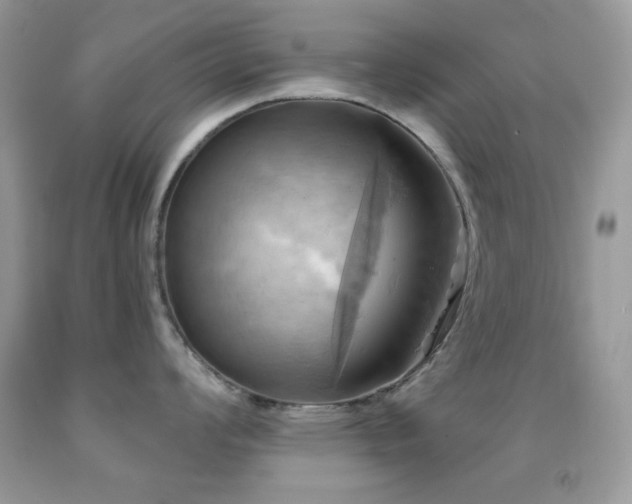X0000091911008200709051414